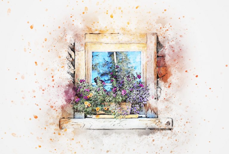 window, flowers, nature