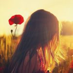 woman, poppies, sunlight